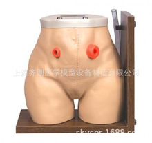 �߼���������g�o��ģ�� QZ-H38