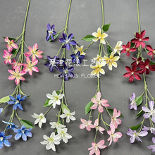 6�^�F��ɏ�ٻ��羳��Ʒ���滨���P�Ҿ��b�����[�����滨�����l