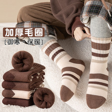 冬日新品儿童加厚加绒保暖男童袜子学生长筒秋冬毛圈卡通潮袜中筒