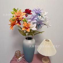 �S��ֱ������ٺ��m�ٺϻ���c���ļҾ��b����Ƶ����[���^�ٻ�