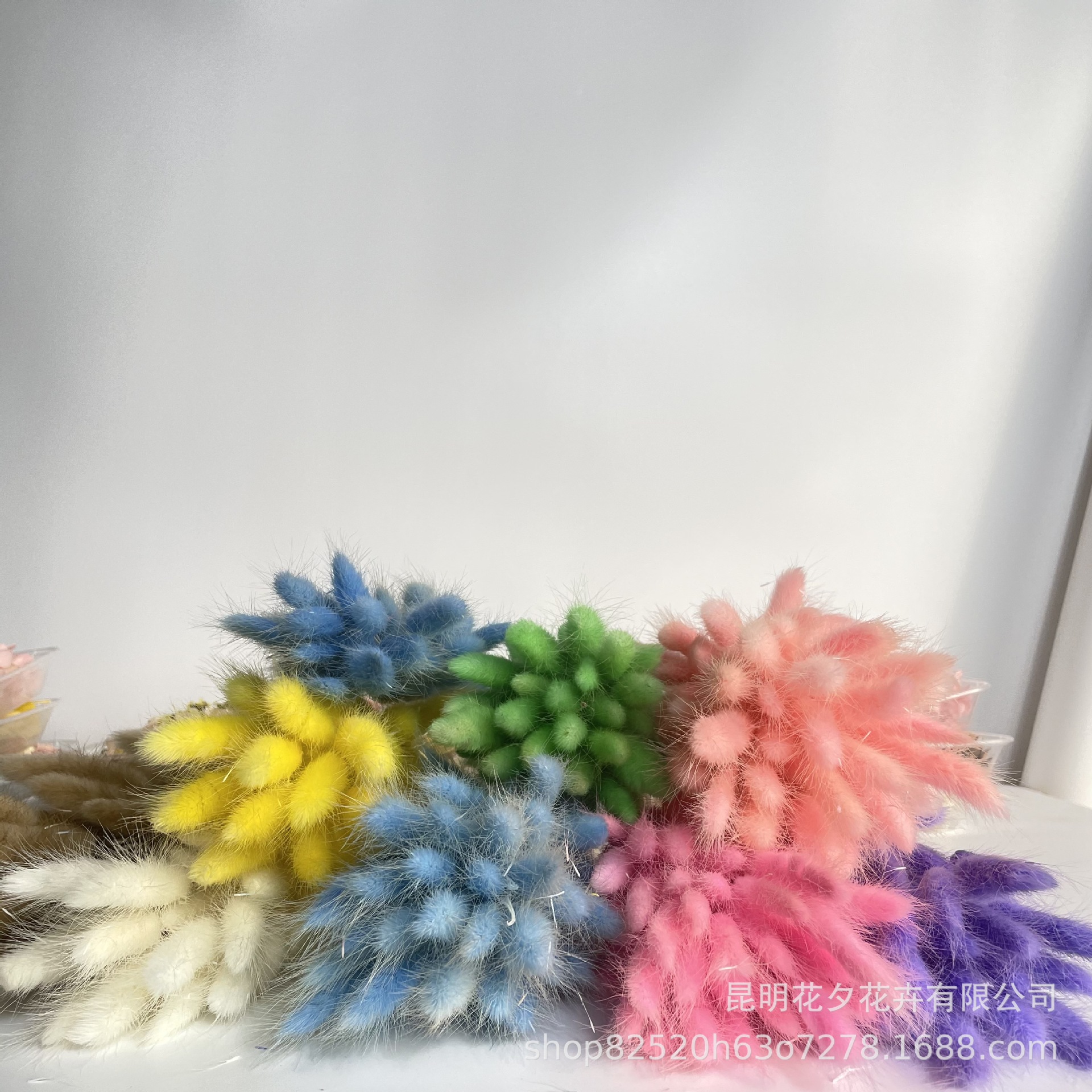 IMG_0353 - 副本.JPG