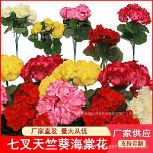 �羳���R�d����վ���N���溣�Ļ����ÿ��z�����Ļ����컨���Sֱ�N