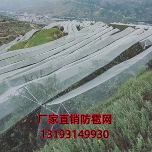 [新疆防雹网果园防鸟网陕西农用防雹网冰雹网葡萄防冰雹网防雪网]