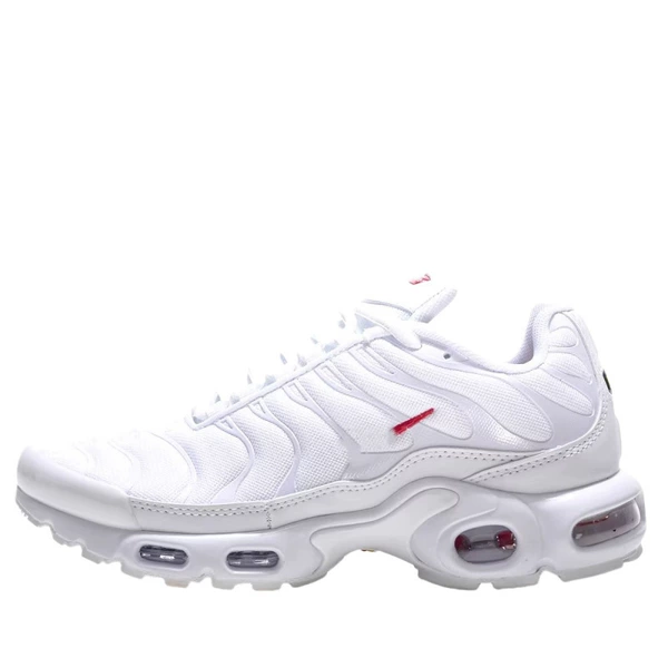 TN Platinum