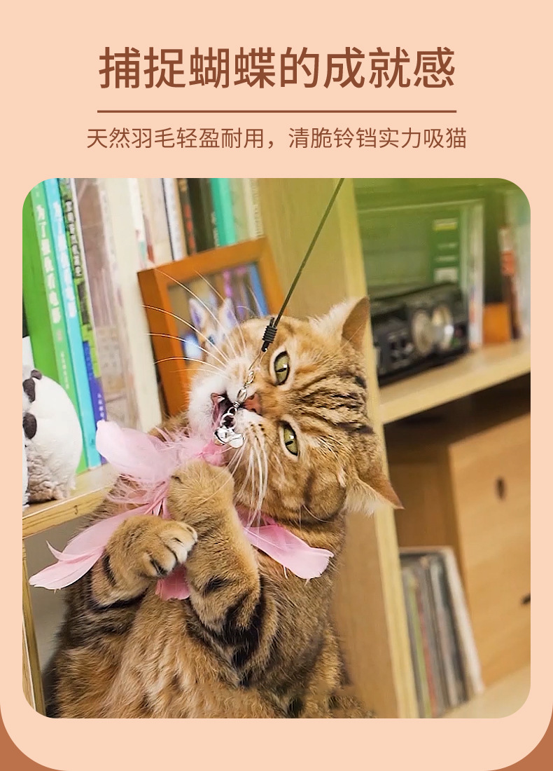 多功能激光逗猫棒宠物梳子