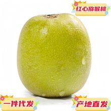 现货一件代发四川蒲江红阳红心猕猴桃奇异果多规格特甜多汁国产
