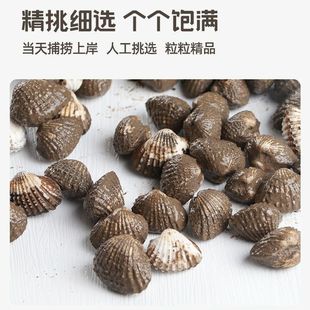 ���rѪ���r���ë��Ұ����򻨸����TѪ���r���l�yë��