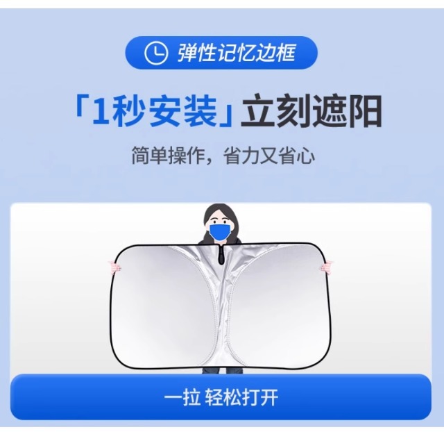 Titanium Silver Sunshade