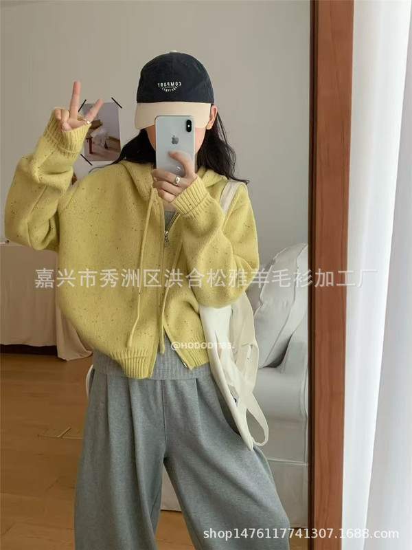 韩系高级感小个子连帽针织开衫女秋冬新款宽松拉链毛衣外套短上衣|undefined