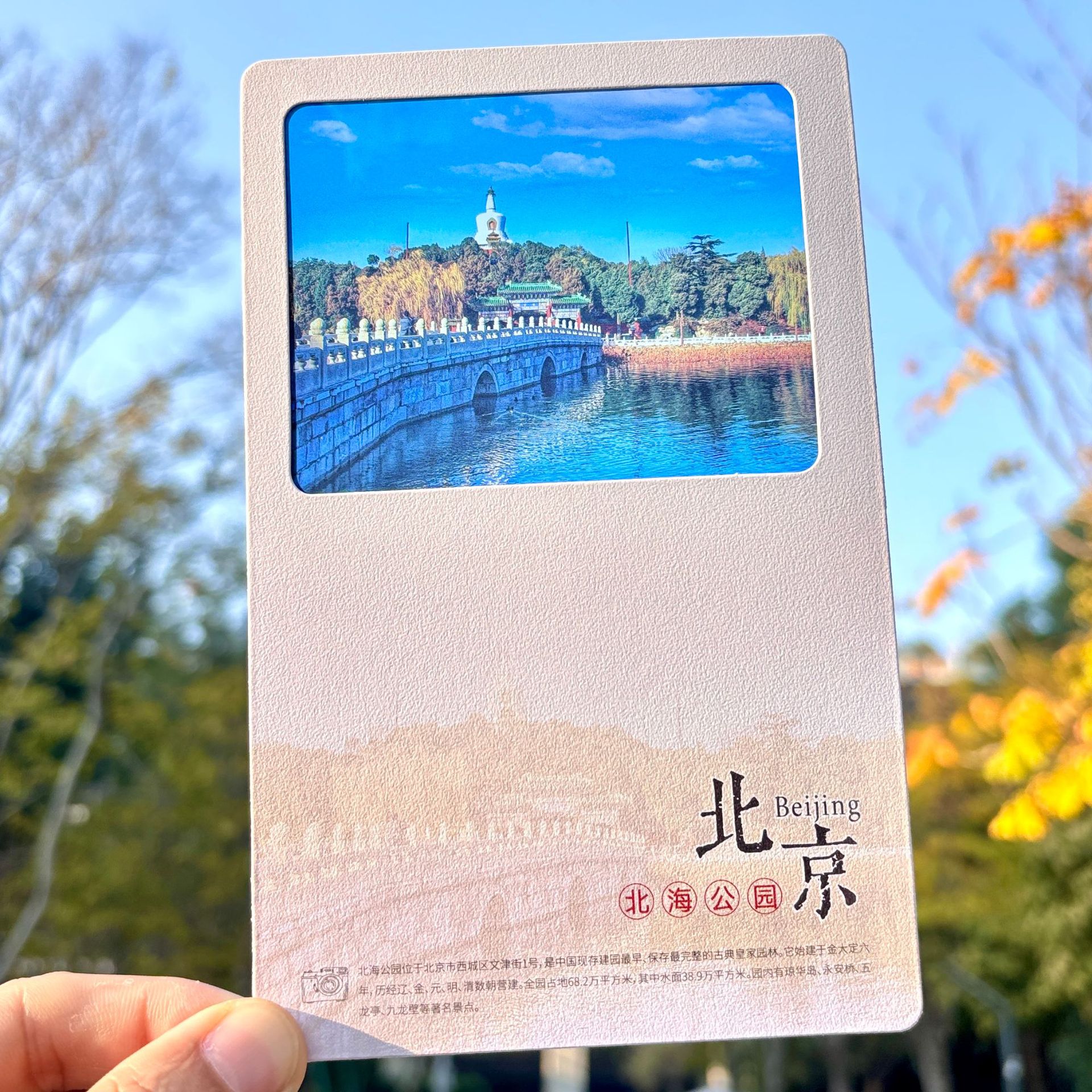 详情图