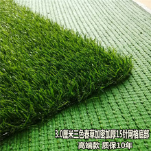 30MM��������ݴ��ݾW��PE���|��O����ͥԺ���@��ȼ����G���݉|