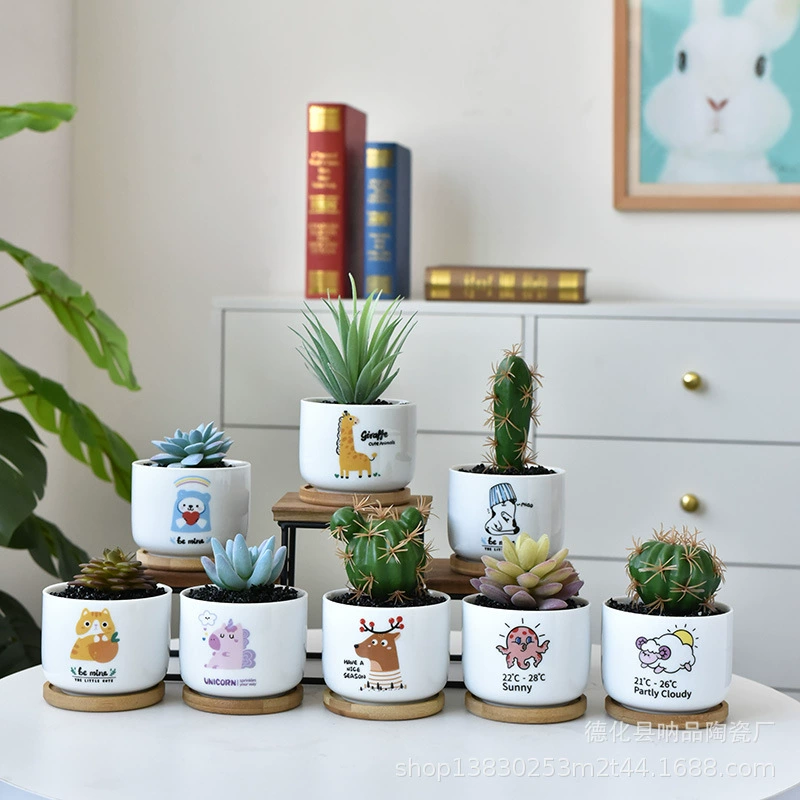 Na Pin Внешняя торговля Экспорт Керамический мясистый цветочный горшок Мультфильм животных Новый продукт Специальный толкающий мясистый цветочный горшок