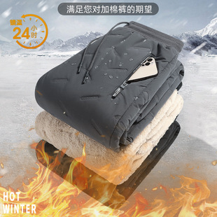 Factory direct winter fleece-lined thick men's warm pants lamb fleece plus size cold antifreeze casual pants wholesale