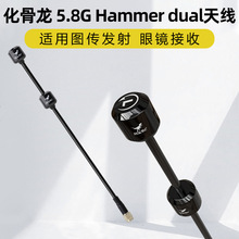 �������D���쾀HGLRC 5.8G Hammer dual�쾀�m�ÈD���l�����R����