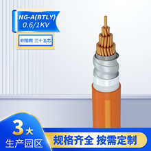 a|NG-A(BTLY)-0.6/1kVȼV^|