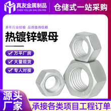 �ߏ��ȟ���\������ĸ�������Ǳ�����ñ���˹����ĸ