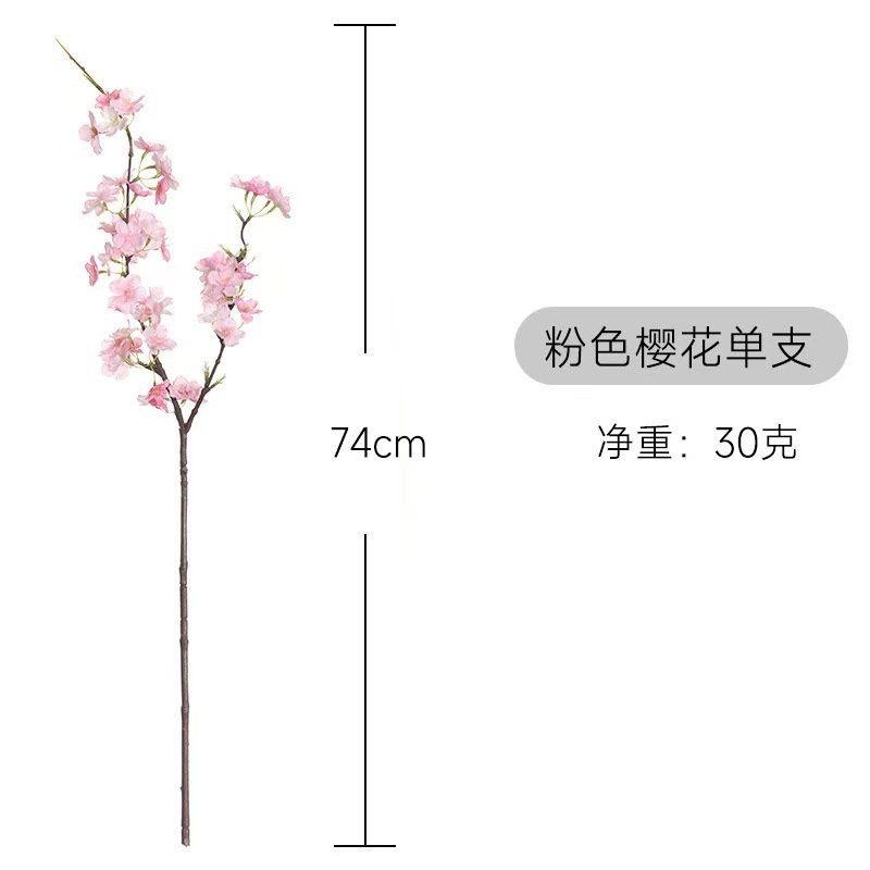 微信图片_20241112134318