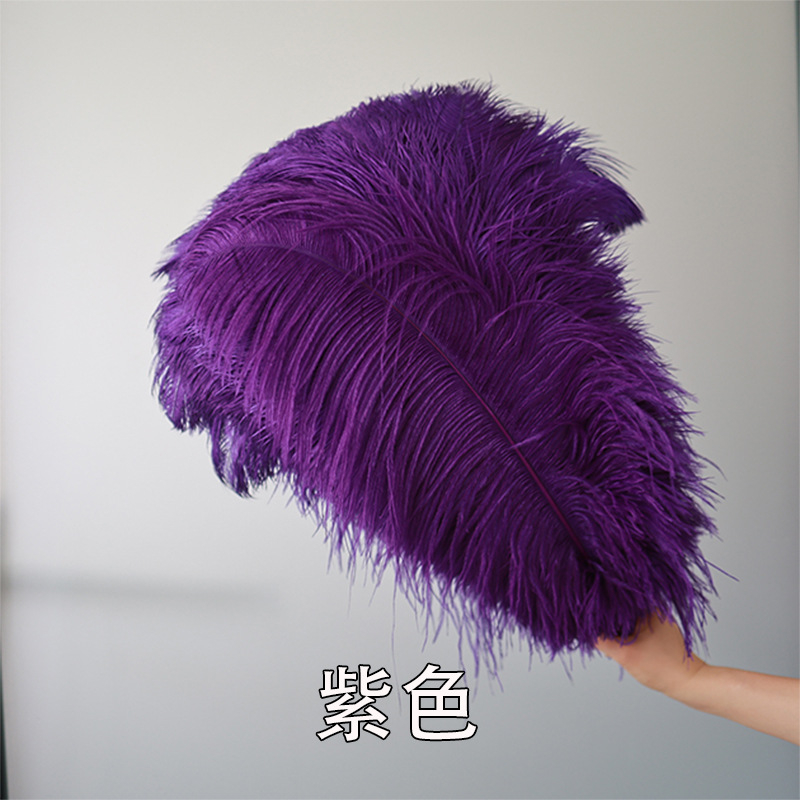 Fabricantes de pelaje de avestruz 50 - 55CM boda guía de la mesa flor de plumas de avestruz adornos de red pared roja plumas de espectáculo de escenario image 36