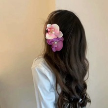 �������������Y�m����߅�AŮ�Շ������ճ�Ƭ�����A��߅�ȼ��^�Ů