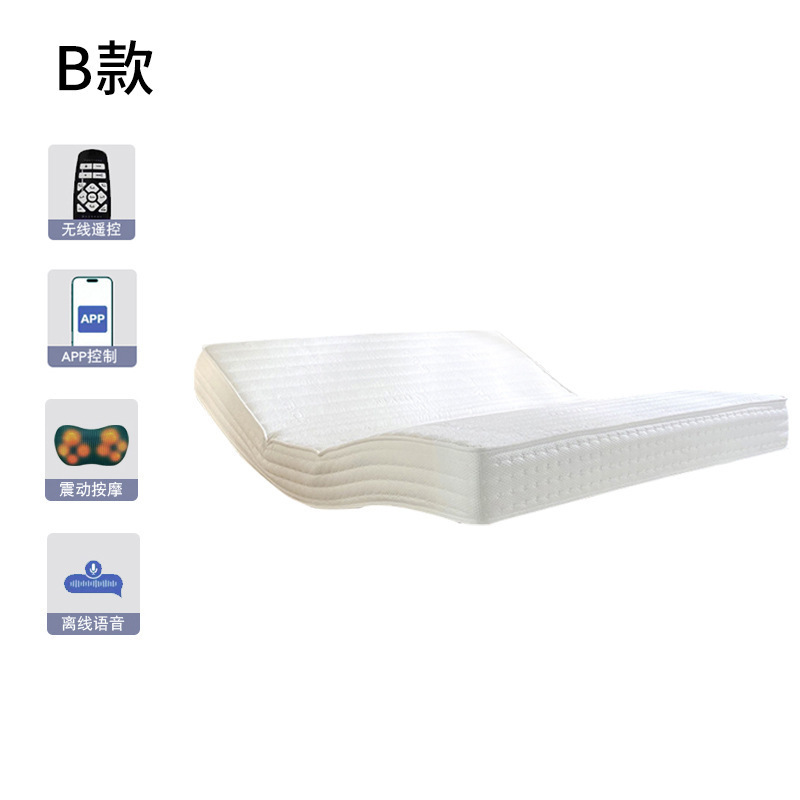 智能语音电动床垫席梦思遥控按摩家用助力一体多功能床垫工厂直销|undefined