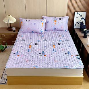Graphene Energy Mattress, Herbal Quilted Cushion, Promotional Gift, Health Mattress Three-Piece Set, Single and Double Bed Cover