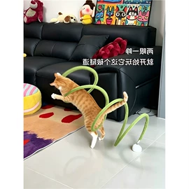 猫猫玩具;发夹;调味盒