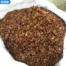 �l�͸��쵾���I�B����ֳ�|�N���N���m����������͸�⵾������l��