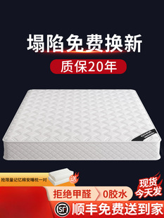 Simmons Mattress Home Bedroom Independent Spring 1.8 Thick 20 Hard Coconut Palm Rental Latex Cushion