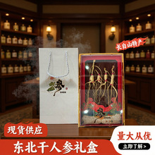 林下参 4根一盒单支10年左右整枝长白山林下参干货 生晒参