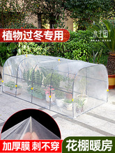 花棚暖房遮雨多肉花卉蔬菜保温棚家用花房暖棚防冻保暖挡雨遮阳棚