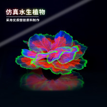 �¿�S�����l������zˮ��ֲ��ˮ���b�Ʒ�~���b��쾰�[����Ʒ��