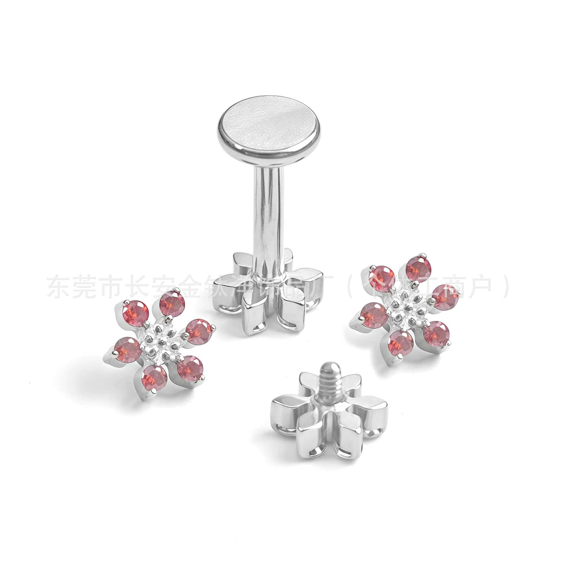 Pointed titanium steel lip stud product view