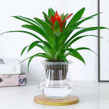 �������\���^���B����ֲ���҃ȿ͏d�[�ŵĻ��ļ����B����������