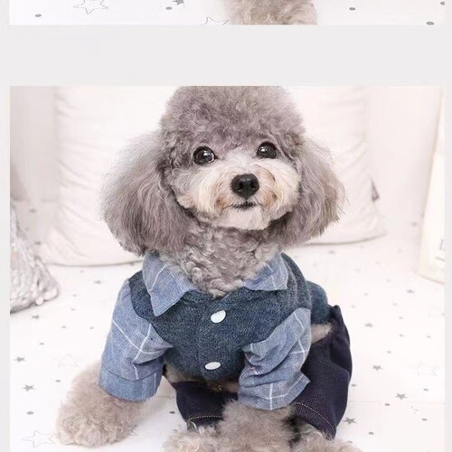 Pet Small Dog Clothes Autumn/Winter Style for Pomeranian, Bichon, Small Dog, Teddy, Four-Legged Suit, Puppy Casual, Thick Warm