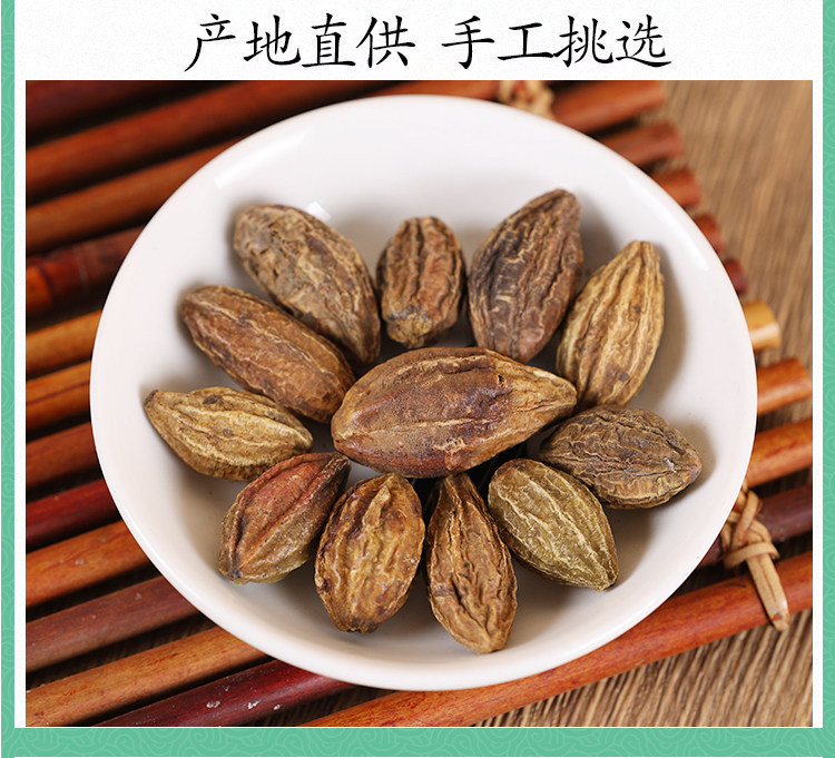 Premium Wild Chebula Fruit He Zi 诃子 Dried Terminalia chebula 500g Traditional TCM Herb specifications
