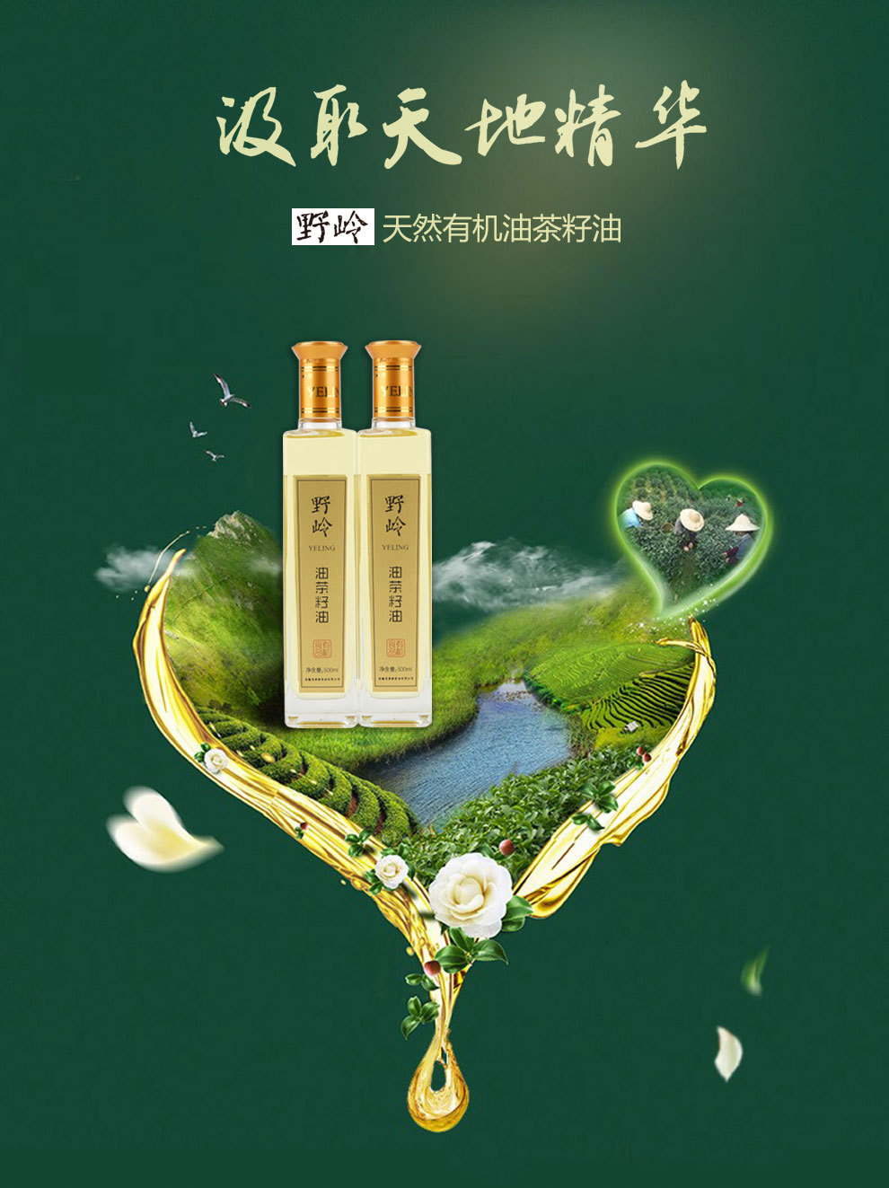 新冷榨500ML_01