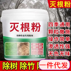 竹を消す薬竹の根が腐って竹専用の薬の荒地を殺して竹の雑草の腐った木の根を除いて根を消す粉