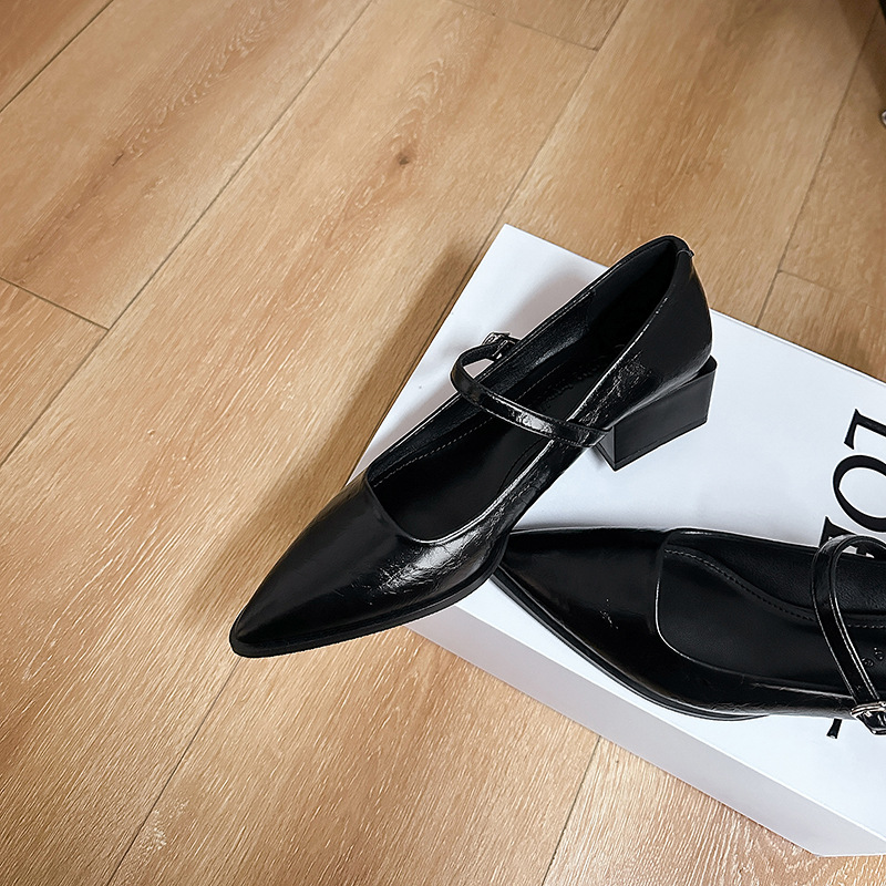 Pointed Toe Vintage Mary Jane Pumps Leather Chunky High Heels_voghion.com