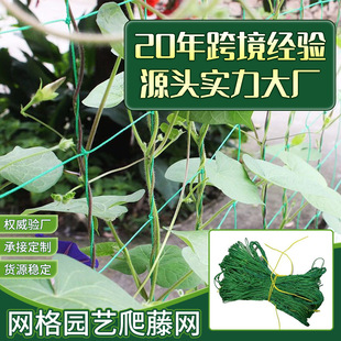 Plant climbing net green gardening square plaid cucumber hanging melon climbing net stand chrysanthemum wind resistance lodging resistance net