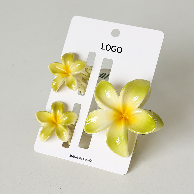 Simple Style Women's Flower Plastic Hair Claws display picture 4