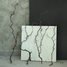 ������֦��֦����b���Ȼ������צ�廨��֦����ˇ�g�L�ɶU��ɻ�