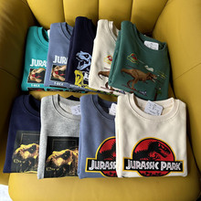 日系新款外贸恐龙系列毛圈童装套头卫衣多色可选