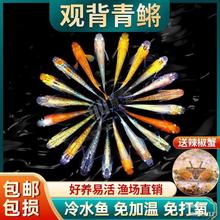 �����F�^�p�~��ˮ�~��ħ���~С���\�����~��ˮ�~���������B����