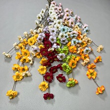 ���滨�L֦3�浰�����羳�ٻ��[���쾰�����b����l�u�����廨