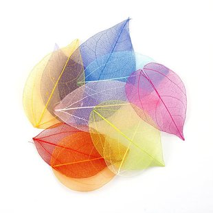 �����~ �W�~ �~�} ����~���zѺ���ɻ��֙C�����C�����ֹ�DIY�ز�