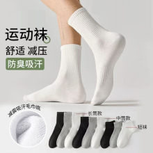 �T���m����ʿ�ﶬ�Ӻ�ë���׼�����Ͳ�m����������ɫ�LͲ�\���m��