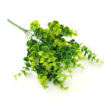 �����ȼ���7��������ϲݷ���ֲ����Բ廨�����b��X�~���l