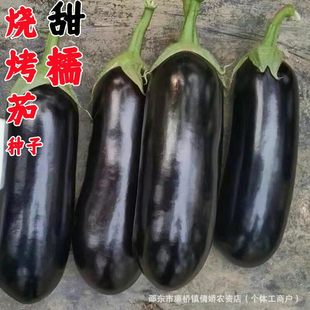 �������ӷN�ӌ������ӷN�Ѻ���ɫ�ش�G���Ѵ����ļ��ļ��߲˷N��