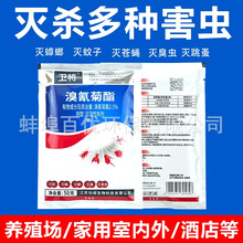 �l���������2.5%�҃���������nωș���ș������x�ۇ��F���x��