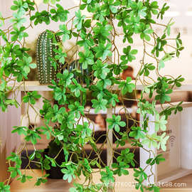 仿真绿植假树叶日本吊钟植物塑料假花藤条仿真花客厅管道遮挡装饰